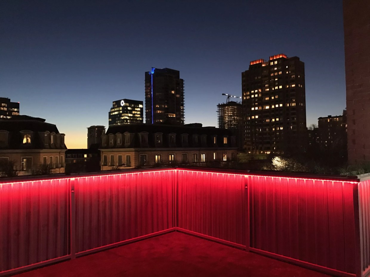 Bottle Service, Selfie Stations and Rooftop Patios: The Dallas Dining Scene Is Losing Focus