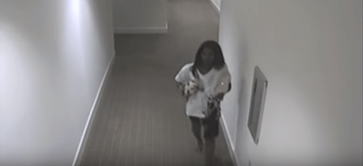 Dallas Police Search for Woman Suspected of Drugging Man, Stealing His Puppy