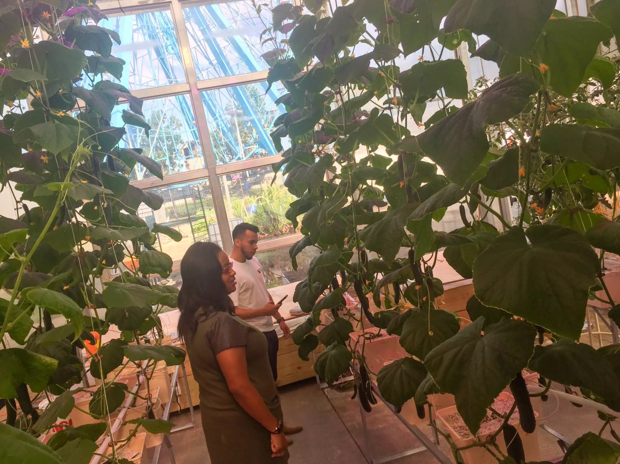 New Hydroponic Garden Is Sprouting at the State Fair for South Dallas’ Food Desert