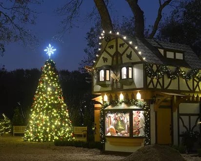 10 Last-Minute Ways To Make the Most of Christmas in North Texas