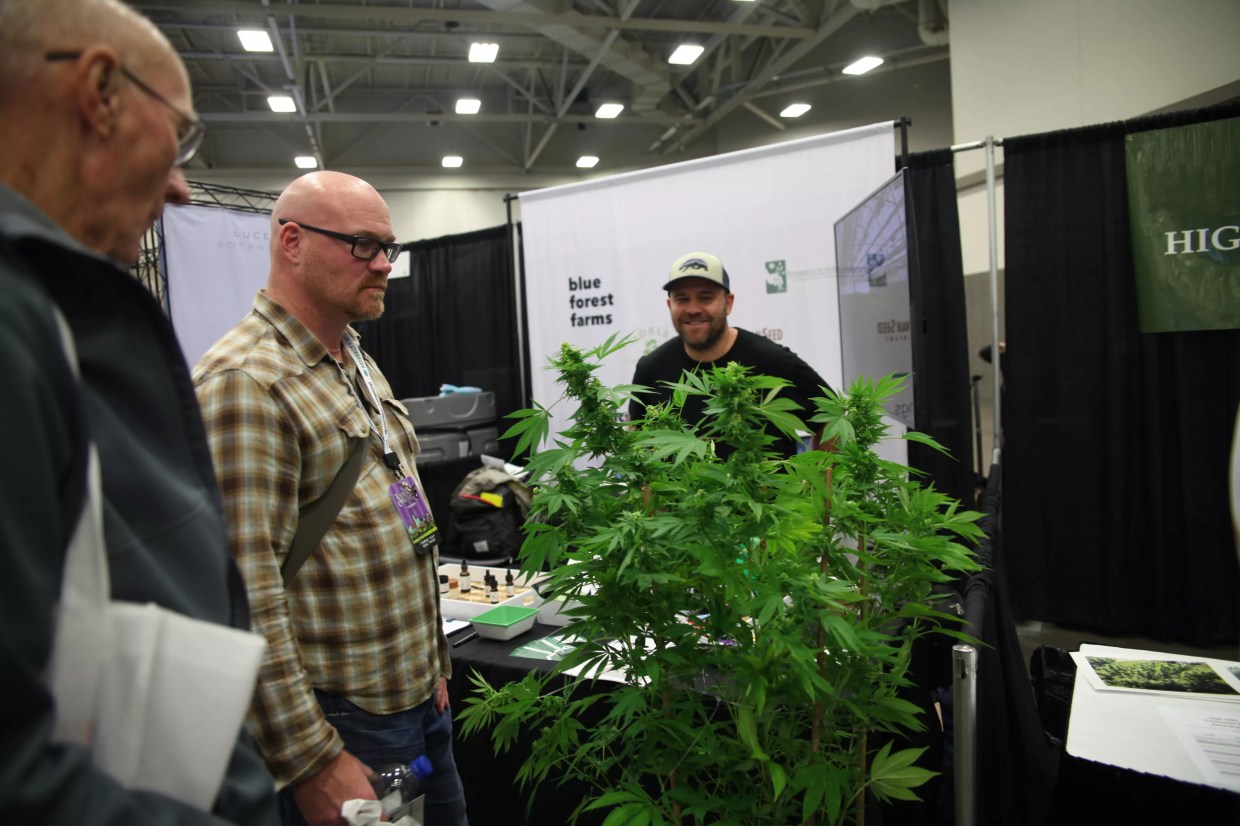The Hemp Convention Vendors Were as Confused as We Are by Texas Cannabis Laws