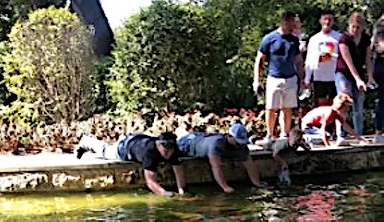 ‘Horrified’ Woman Filmed a Family Pulling Out Fish at the Dallas Arboretum