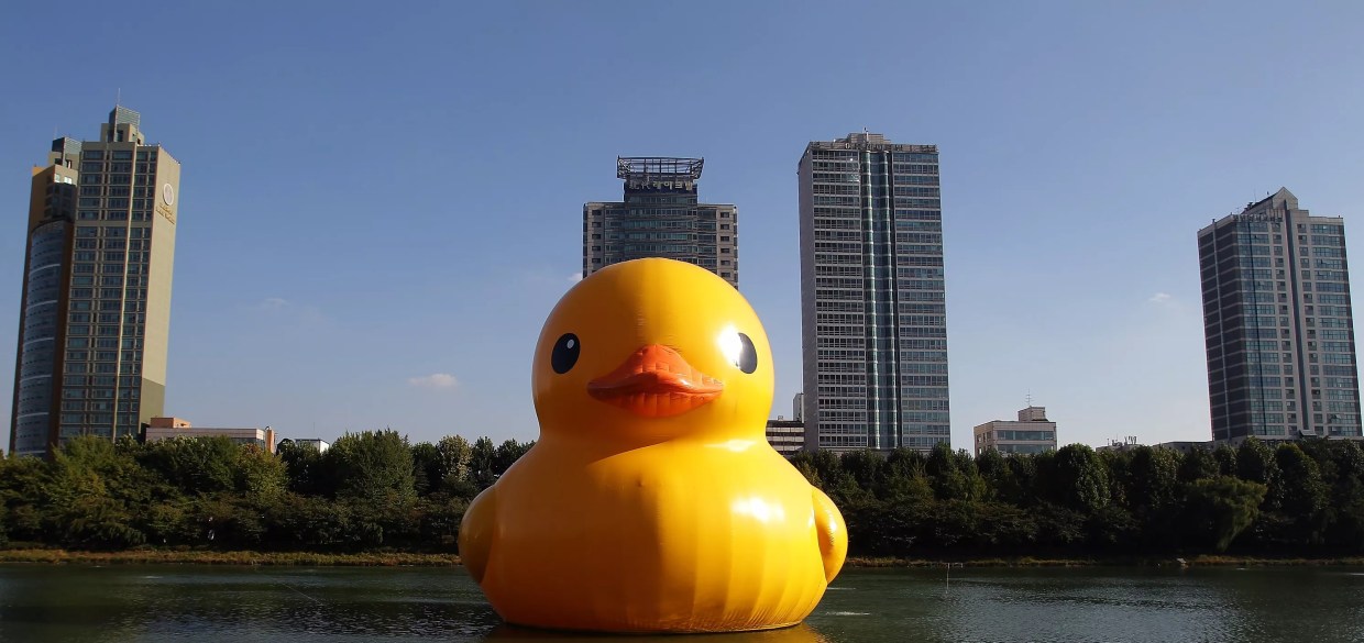 Uh, Why Is the World’s Largest Rubber Duck Coming to Fort Worth?