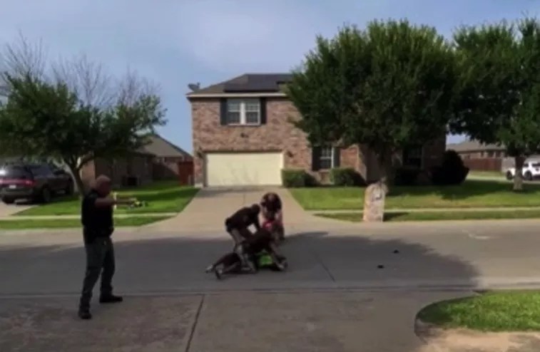 After Viral Arrest Video, Online Threats Prompt a Black Family to Flee Forney