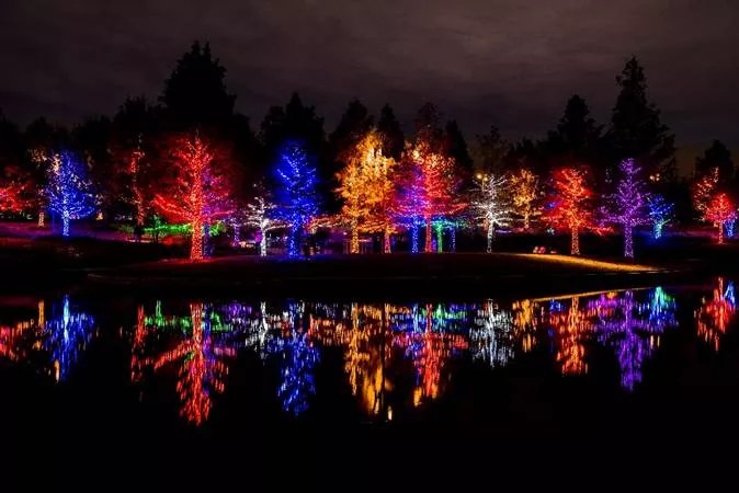 The Best Things To Do In Dallas, Nov. 24-Dec. 1