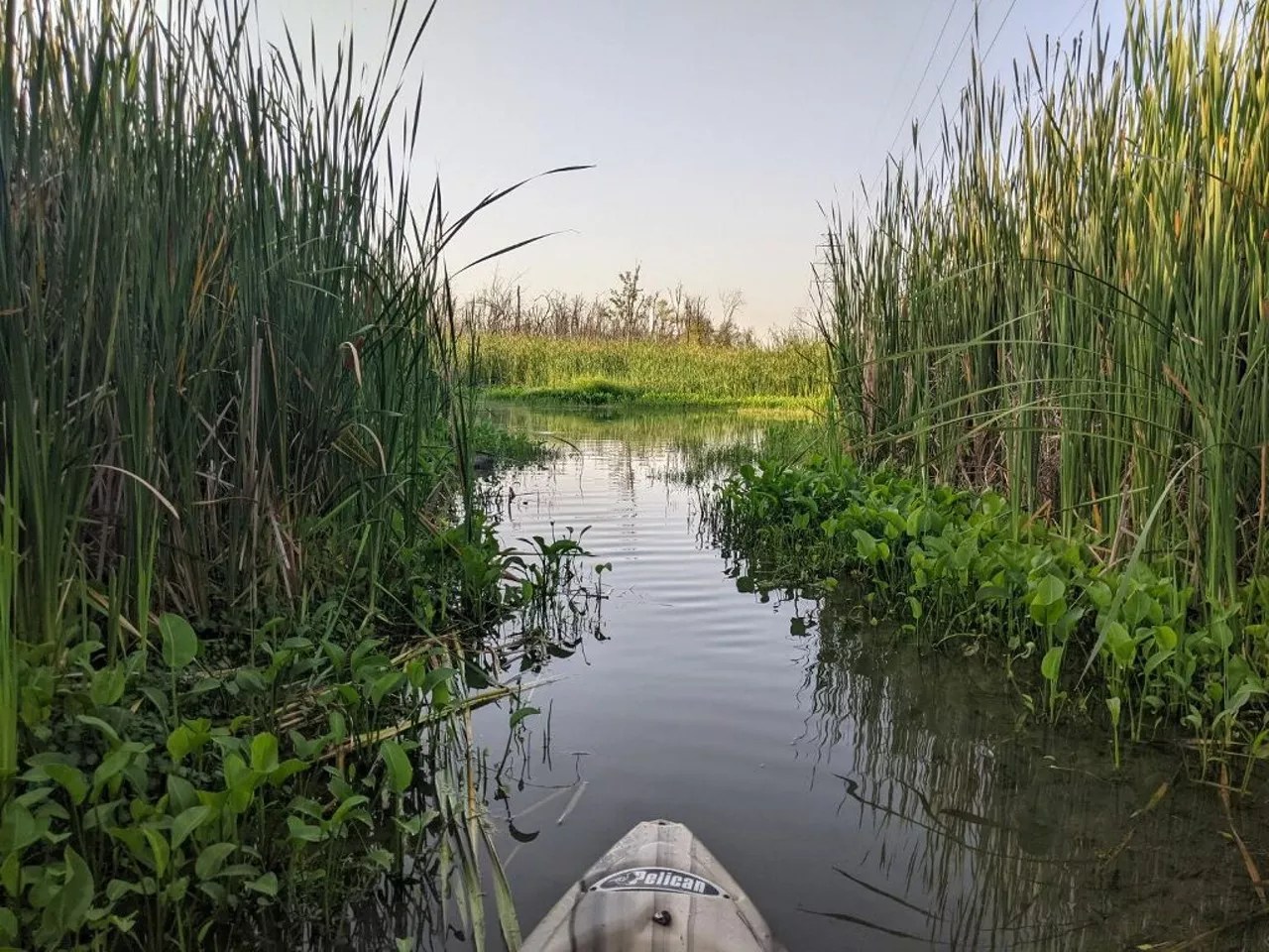 kayak in dallas water