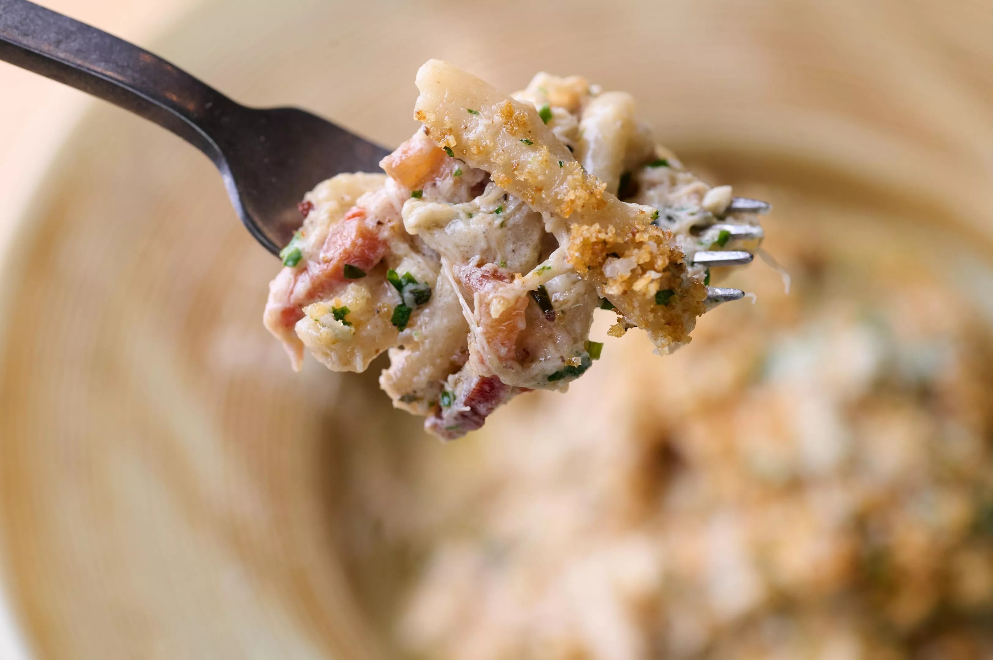 a past dish, coniglio alla gricia, from Radici