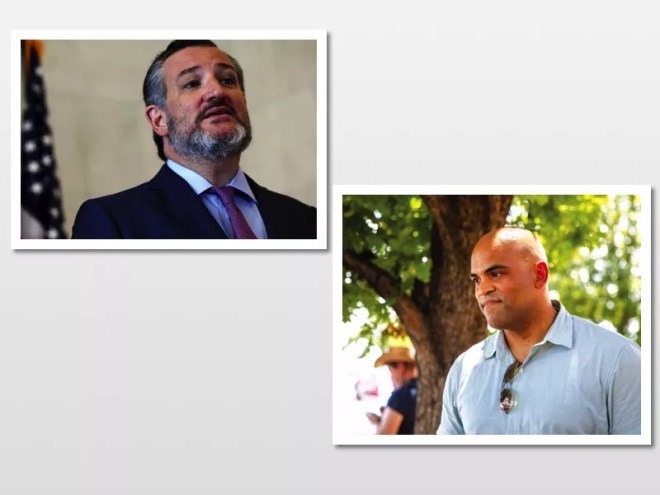 ted cruz colin allred