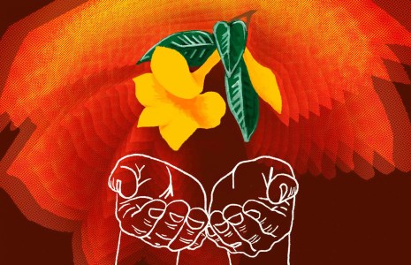 The Hallucinatory Power of Ibogaine is Surprisingly Gaining Acceptance in Texas